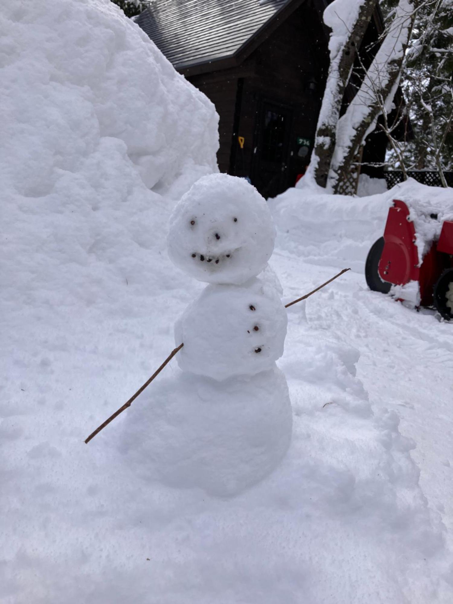 Hakuba Cottage Gram Dış mekan fotoğraf
