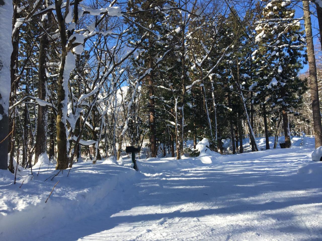 Hakuba Cottage Gram Dış mekan fotoğraf