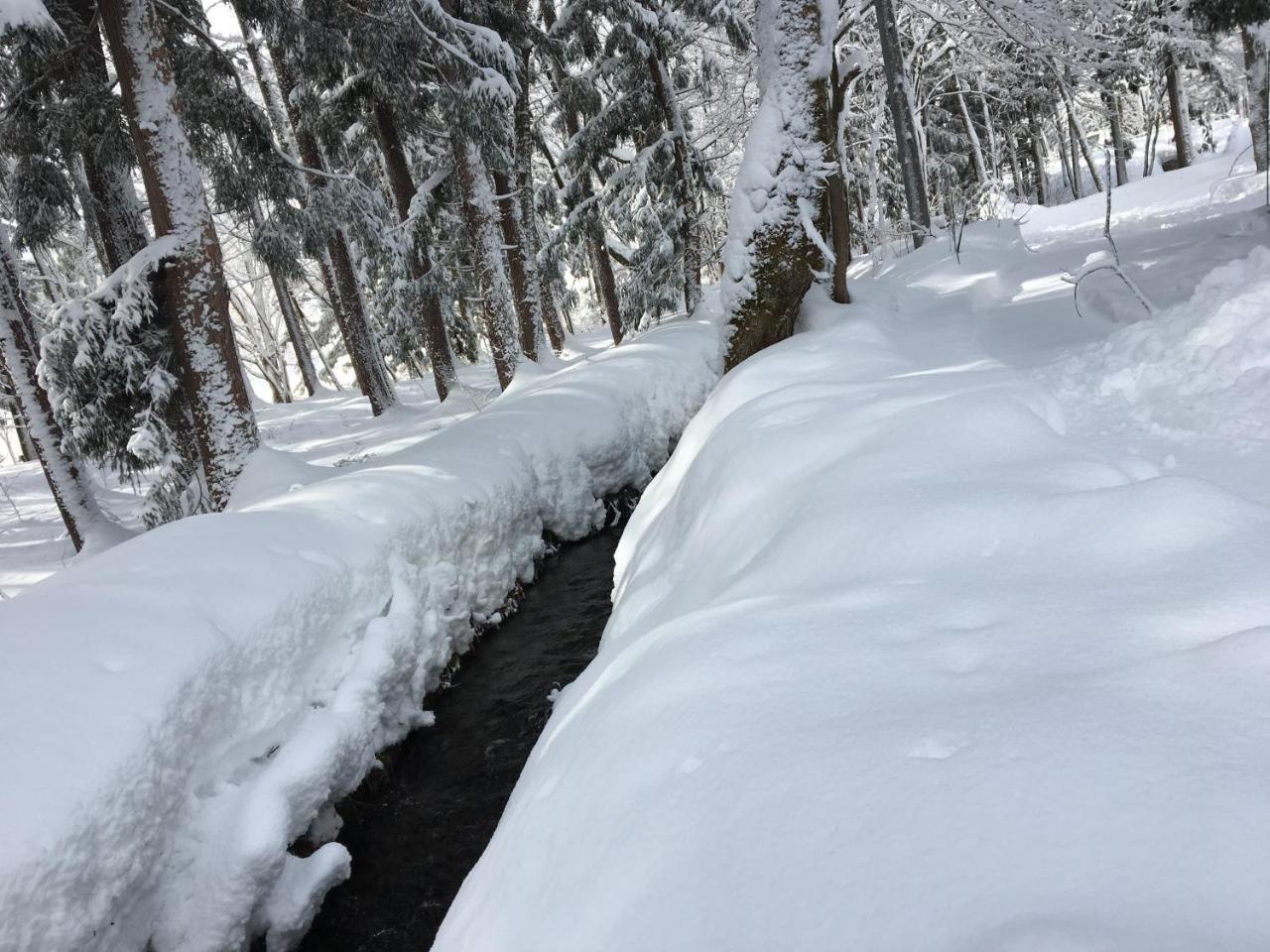 Hakuba Cottage Gram Dış mekan fotoğraf